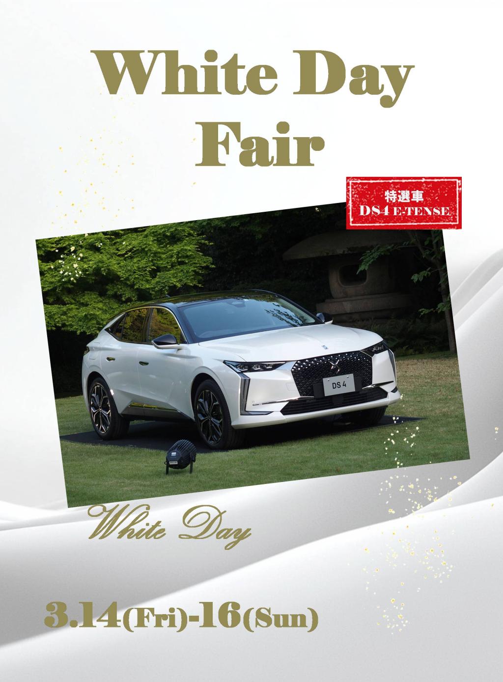 DS STORE 札幌　限定企画　White Day Fair！