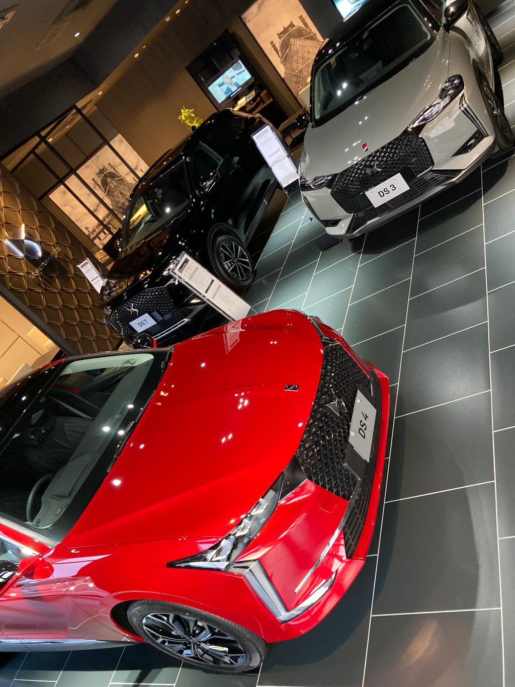 今週のショールームのご紹介！