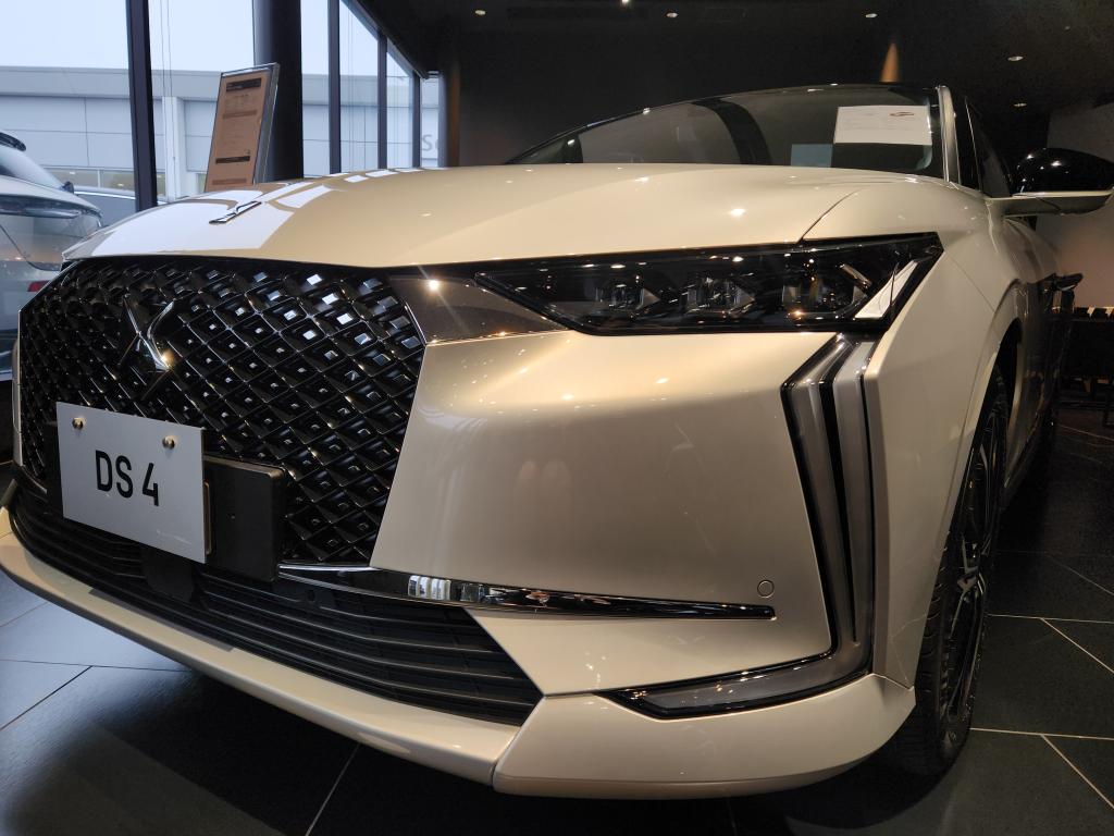 カラー紹介！！！