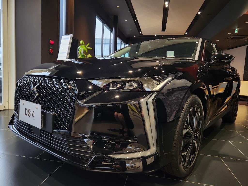 カラー紹介！！！