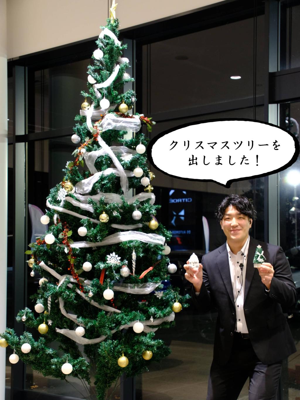 ショールームにクリスマスツリーを出しました！