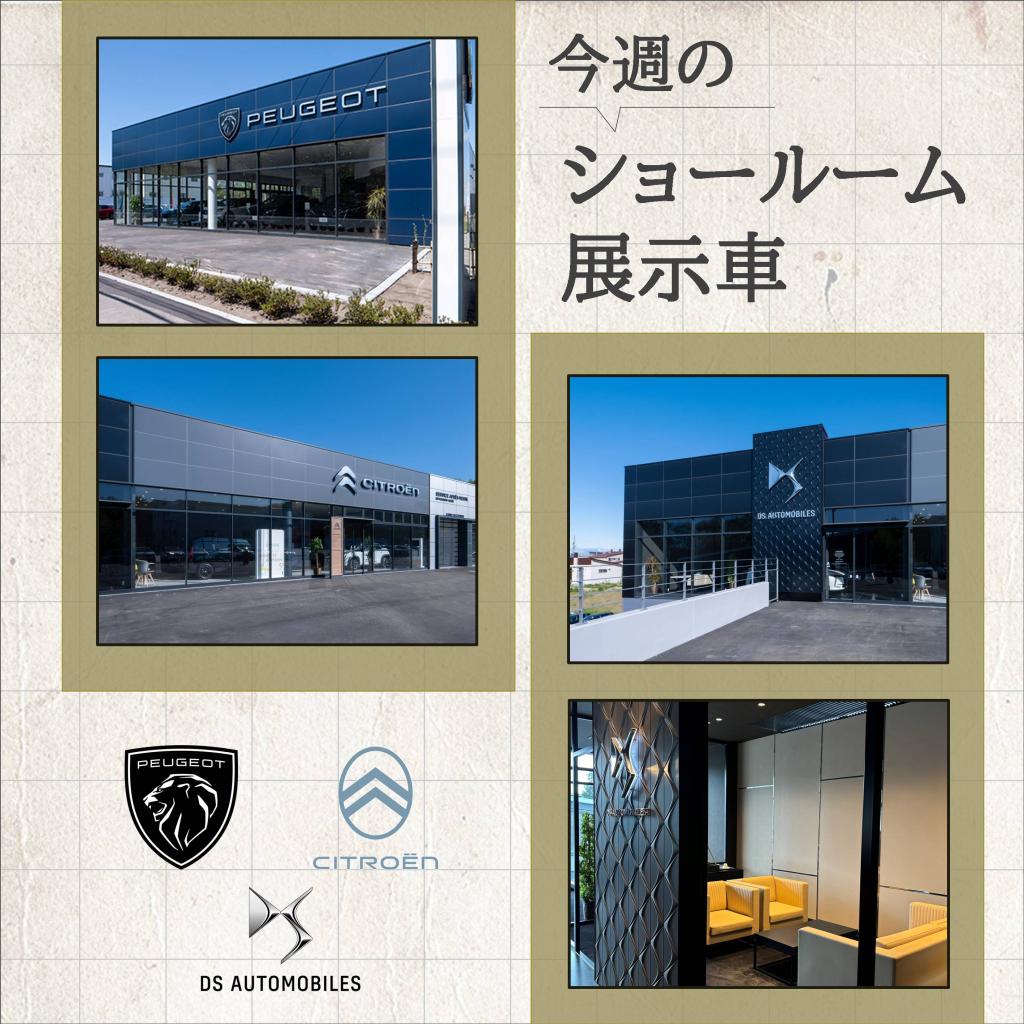 今週のショールーム展示車のご紹介