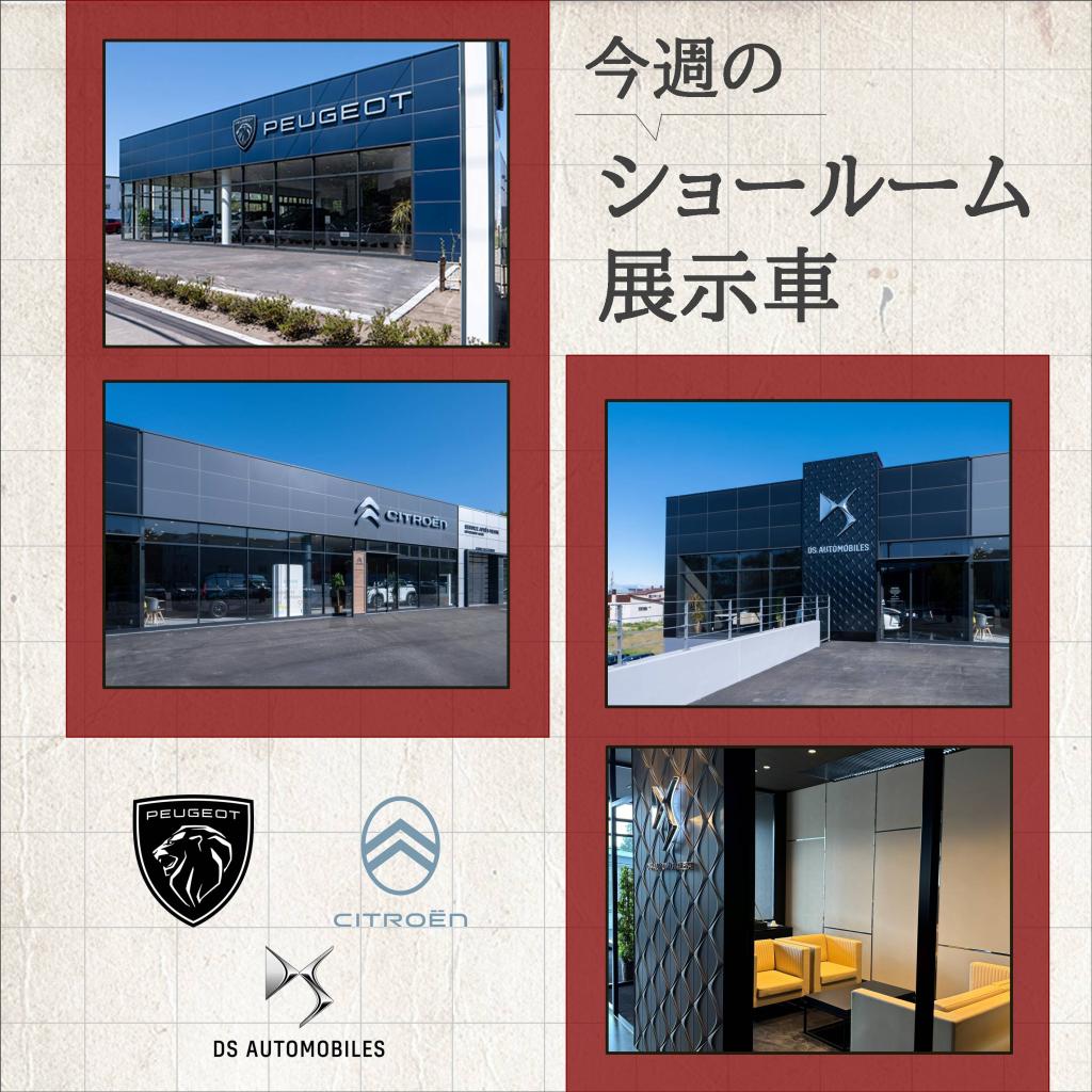 今週末のショールーム展示状況