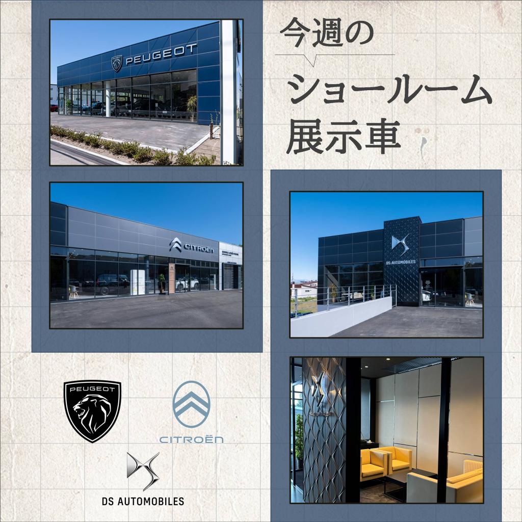 今週のショールーム展示車のご紹介