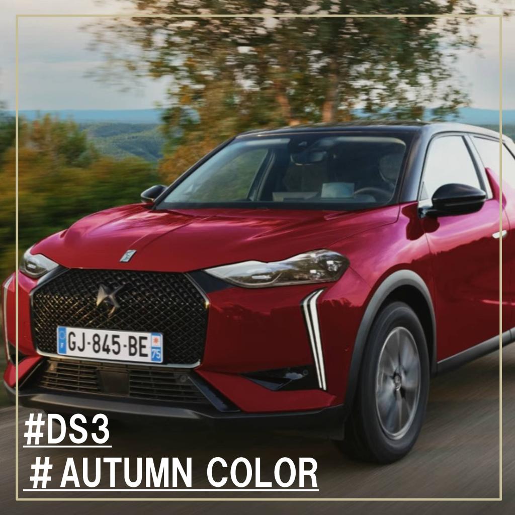 【DS3】AUTUMN COLOR