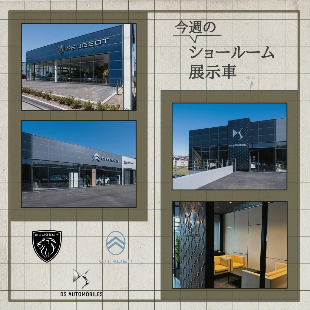 今週のショールーム展示車のご紹介！