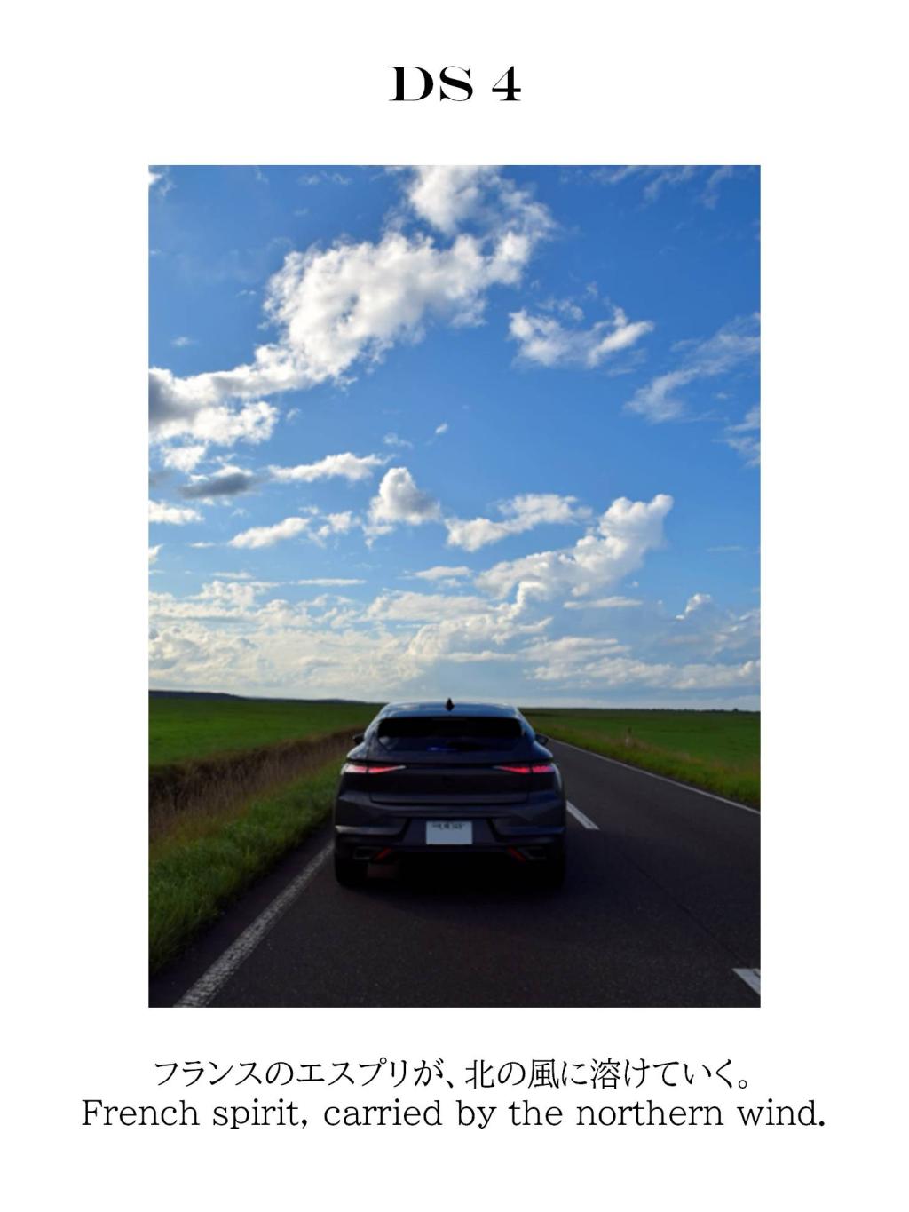 12月フォトコンテスト結果発表！