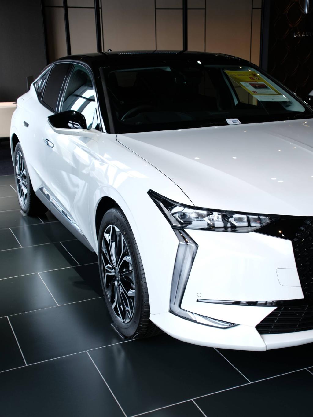 🎍🚗 期間限定！福袋カーのご紹介 🚗🎍